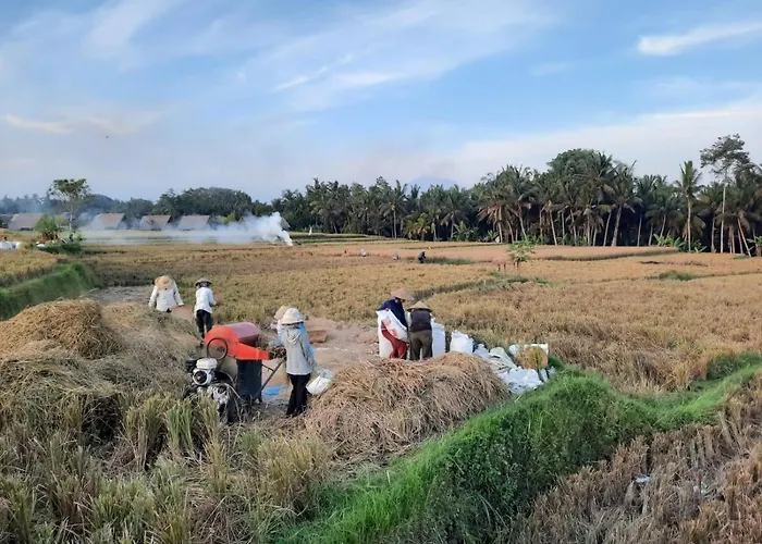 Gandalangu Ubud-dikelilingi Hamparan Sawah Lodge Ubud