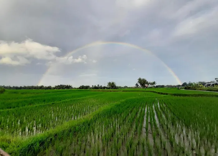 Lodge Gandalangu Ubud-dikelilingi Hamparan Sawah *