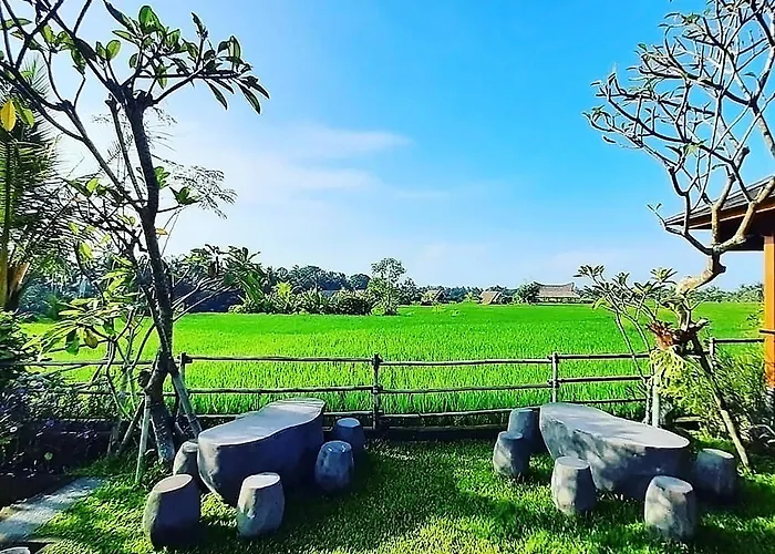 Lodge Gandalangu Ubud-dikelilingi Hamparan Sawah Ubud