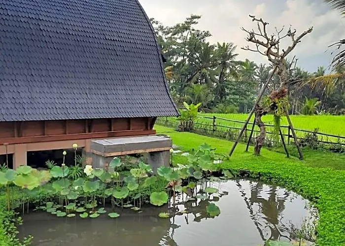 Gandalangu Ubud-dikelilingi Hamparan Sawah Ubud