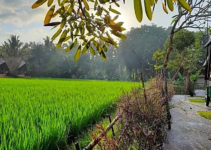 Gandalangu Ubud-dikelilingi Hamparan Sawah Ubud